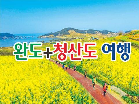 완도+청산도 봄꽃여행