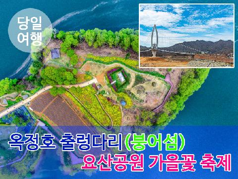 옥정호 출렁다리 + 요산공원 가을꽃 축제