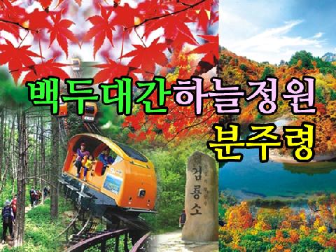 백두대간 하늘정원 + 동해무릉계곡 ( 1박 2일 )