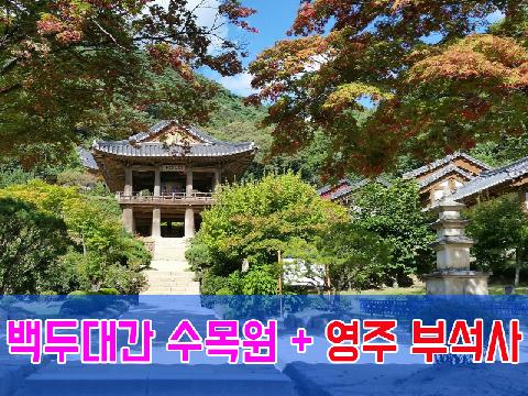 백두대간 수목원 + 영주 부석사 (당일)