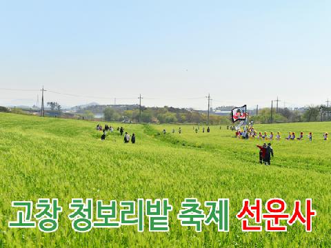 고창 청보리밭 축제 + 선운사