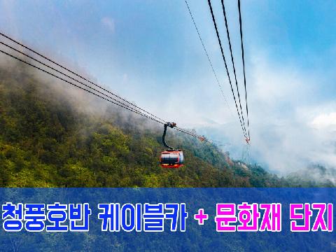 청풍호반 케이블카 + 문화재 단지 (당일)