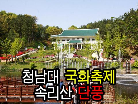 청남대 국화축제+속리산 단풍 (당일)