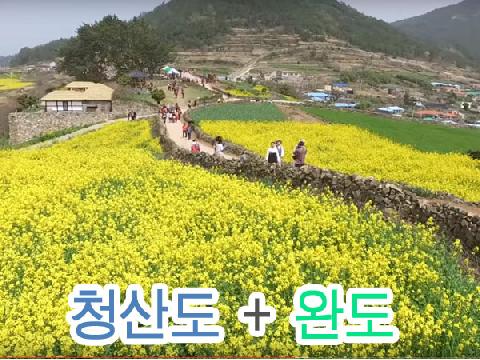 슬로시티 청산도, 완도 ( 1박 2일 )