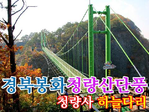 경북 봉화 청량산단풍 + 청량사 + 하늘다리