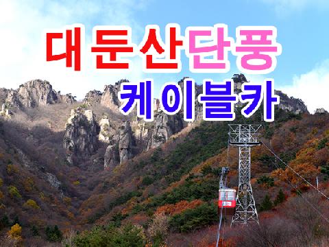 대둔산 단풍+케이블카관광