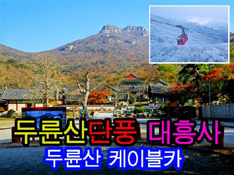 해남 두륜산 케이블카+대흥사 (당일)