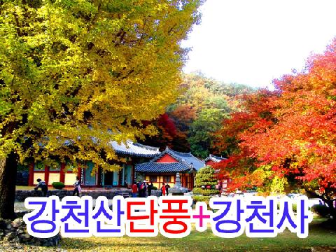 강천산 단풍 + 강천사 (당일)