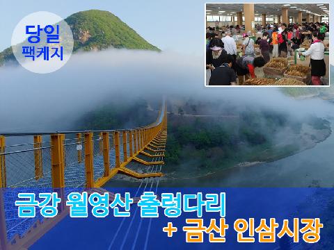 금강 월영산출렁다리+금산 인삼시장(팩케지)