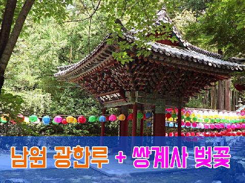 남원 광한루 + 쌍계사 벚꽃 (당일)