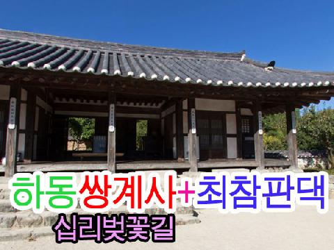 하동 쌍계사 십리벚꽃길+최참판댁