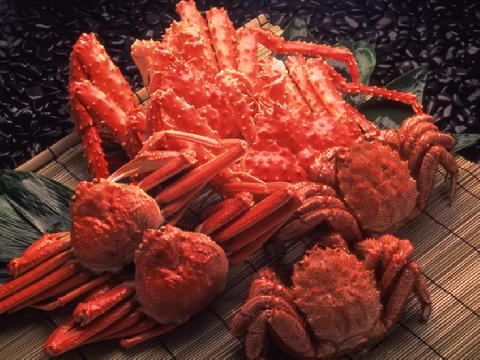 북해도여행 ( 하나투어 제휴 )