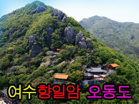 여수 향일암, 오동도