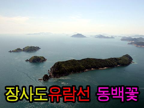 장사도 유람선 + 동백꽃