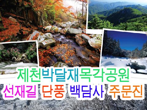 제천 박달재목각공원 + 오대산 월정사, 선재길단풍, 백담사, 주문진어시장 ( 1박 2일 )