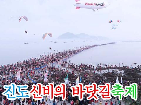 진도 신비의바닷길 축제
