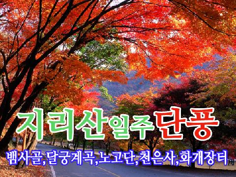 지리산일주 단풍 (당일)