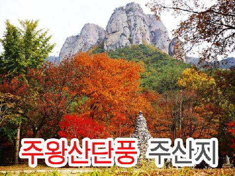 주왕산 단풍 + 주산지 (당일)
