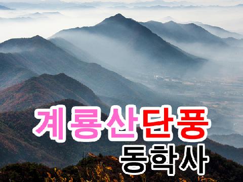 계룡산 단풍 + 동학사 관광