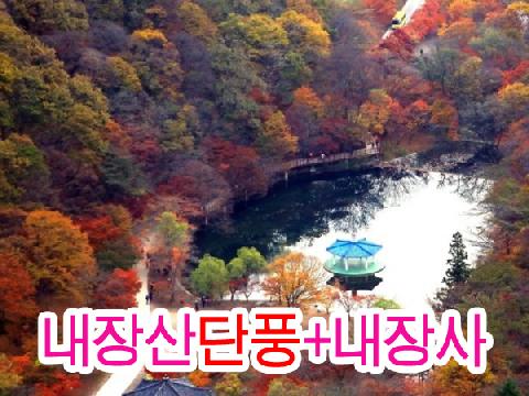 내장산 단풍 + 내장사 (당일)