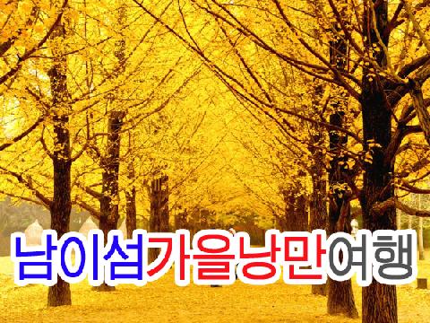 남이섬 가을낭만 여행 (당일)