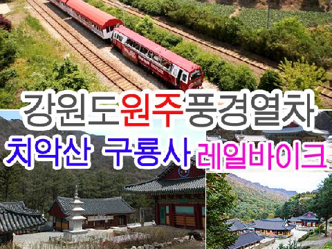 강원도 원주 풍경열차 치악산 구룡사+레일바이크 (당일)