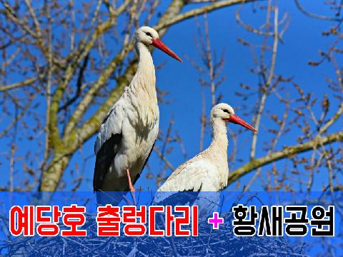 예당호 출렁다리 + 황새공원 (당일)