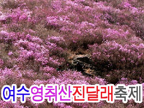 여수 영취산 진달래축제